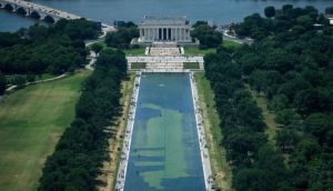 Trump blames vandals as algae-plagued reflecting pool faces possible drainage