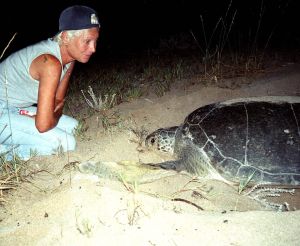 Renowned Lebanese turtle conservationist succumbs to wounds sustained in Israeli strike
