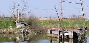 Comacchio, bilancioni abbandonati: «Degrado inconcepibile nel cuore del Parco»