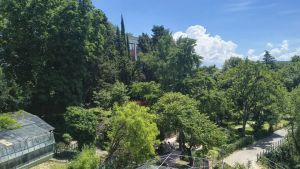 UniTs, la rinascita dell'Orto Botanico sul colle: dalle baracche fatiscenti all'Orto dei Semplici