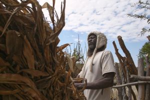Meteorologists Warn That This Could Be the Strongest El Niño This Century