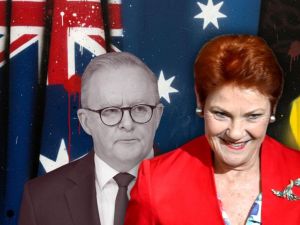 ‘Give her a security detail’: Hadley slams PM over Hanson threats