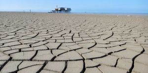 The Caspian Sea has lost an area nearly the size of Sicily: human activities are a major reason why