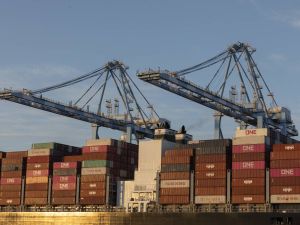 Campioni di export per meriti d'impresa