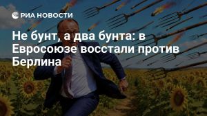 Не бунт, а два бунта: в Евросоюзе восстали против Берлина