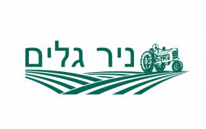 Angels and Astronauts: The Extraterrestrial Extinction of Jewish Law