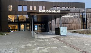 Helsevesenet skal redde liv, ikke drives som et konsern
