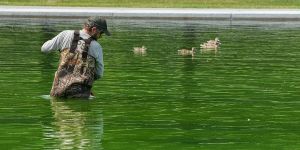 The Entire Trump Presidency Is a Green, Algae-Filled Reflecting Pool