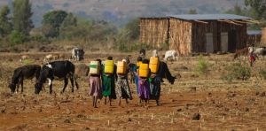 When climate pressures deepen, the fight against violence becomes harder