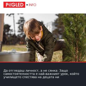 Да отгледаш личност, а не сянка: Защо самостоятелността е най-важният урок, който училището спестява на децата ни