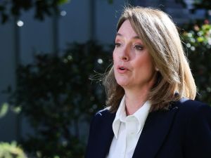 It’s Kellie’s job to make us believe she can lead NSW
