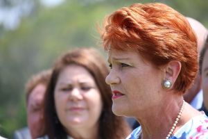 What Pauline Hanson's durability tells us about Australian politics