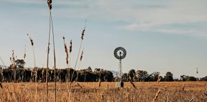 What a strong El Niño could mean for Australian communities, jobs and food prices