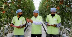 Gujarat Startup's IoT-Powered Hydroponics Is Helping Farmers Grow 5X More Using 90% Less Water