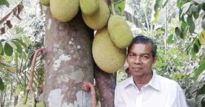 Meet the Kerala Man Whose 210-Variety Jackfruit Orchard Could Change How You Garden