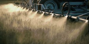 Cheap, effective and dangerous: how Australian farmers came to depend on the toxic weedkiller paraquat