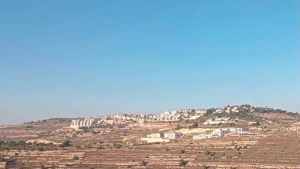 The Origins of Rosh Tzurim and Gvaot