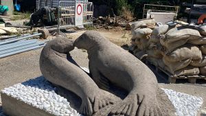 Foca monaca in spiaggia: ora c’è un monumento