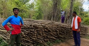 How an Adivasi Village Turned Forest Rights Into a Rs 3.4 Crore Bamboo Economy