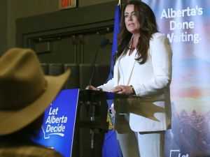 Lorne Gunter: New Alberta independence group fronted by reasonable leaders As long as they can both avoid the ridiculous arguments made by other separatists, Let Alberta Decide will find a wider audience for its separatist arguments than the Prosperity Project ever did.