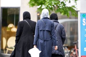 Forfatter: Bruger man visse ord, er man åbenbart højreradikal