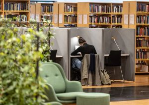 Meningsløs eksamen