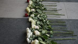 AŽC: Izmena Krivičnog zakonika bez odredbe o obučavanju maloletnika za rukovanje oružjem