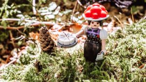 Schwarzwald Marie verheiratet – Playmo-Set im Verkauf