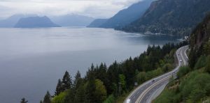 Animals are often moved to make way for infrastructure, but we don’t know what happens to them next