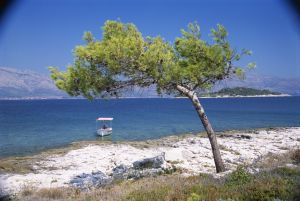 Hrvatska je ozbiljno pala na listi kvaliteta vode za kupanje. Evo šta se zapravo dogodilo