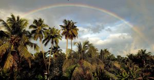 The Arc of Evolutionary Psychology