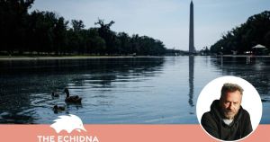 Donald forced to drain the swamp he oversaw