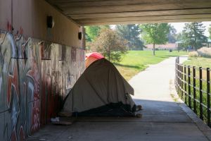 Tout le monde donne aux mêmes causes philanthropiques