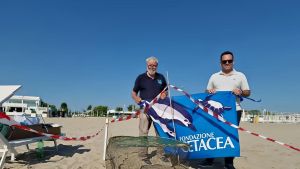 Nidi in spiaggia, segnalate le prime tartarughe