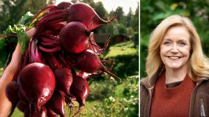 Vi kräver mer mat – för att ingå i regering