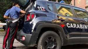 Fabbrico, in auto con droga, roncola e scure