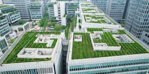 Cities Show How Climate Action Makes Life Better