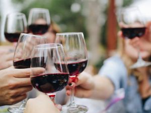 In vino canicula