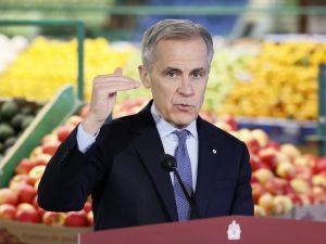Michael Higgins: Mark Carney fails his own grocery test