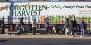Trump Is Winning The War on Nonprofits