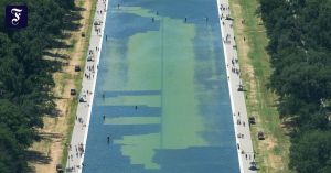 Make Algae Green Again