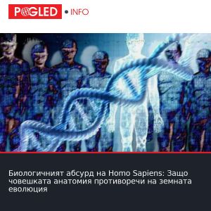 Биологичният абсурд на Homo Sapiens: Защо човешката анатомия противоречи на земната еволюция