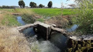 Gli agricoltori della Lomellina contro il consorzio Est Sesia: «I nostri campi sono a rischio»