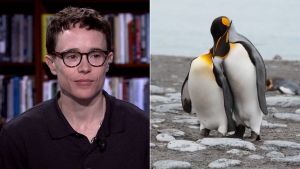 New Documentary Highlights Reality of Gender and Sexual Diversity Across Nature