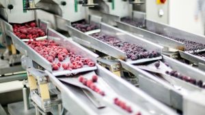 Lidl povlači jedno pakovanje smrznutog voća – potrošači mogu da ga zamene u njihovim prodavnicama
