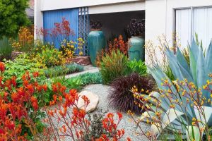 Mom and daughter transformed a boring backyard into a beautiful native plant paradise