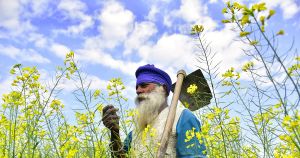 The deal India's farmers don't trust