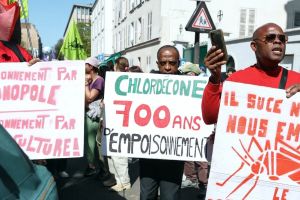 Chlordécone : 80 % de la population contaminée en Martinique et en Guadeloupe