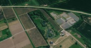 'Off-grid' holiday cabins planned for fishing lakes at nursery