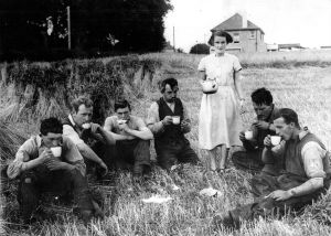John Arnold: The hay-making day when tea was laced with carbolic soap